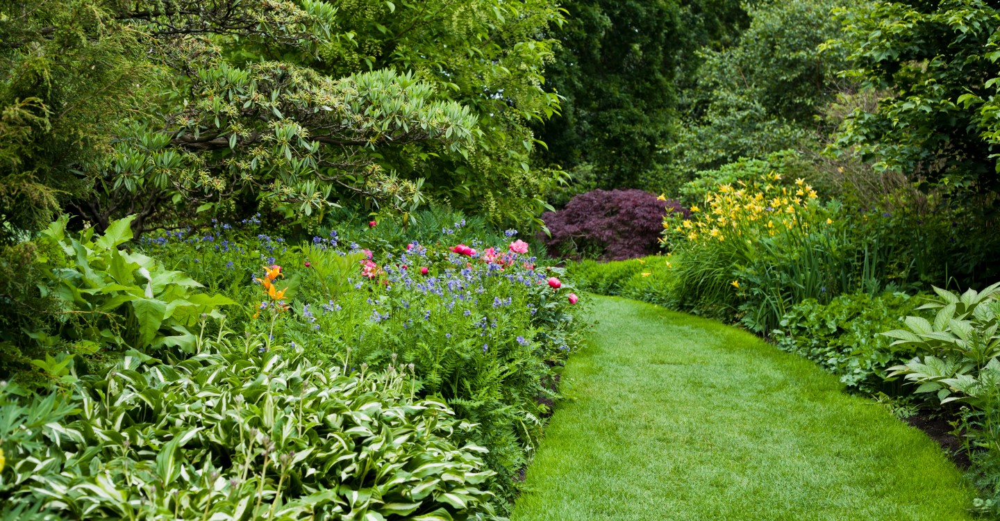 Gardening tips for summer